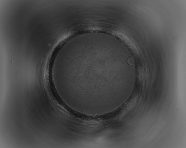 X0000088230731200705151452
