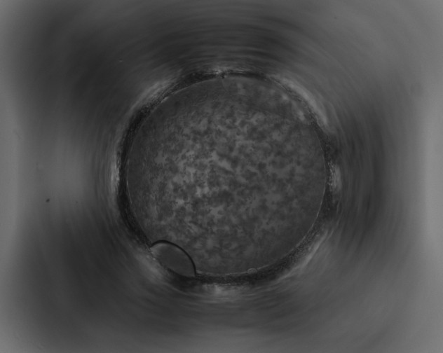 X0000088230733200705151452