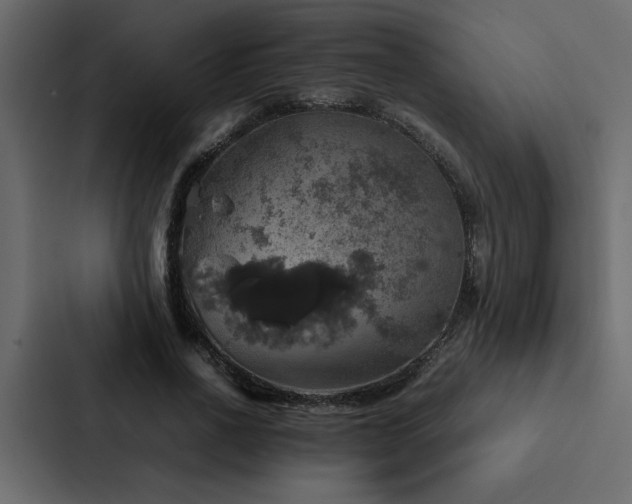 X0000088230734200705151452