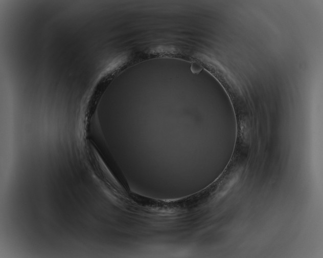 X0000088230735200705151452