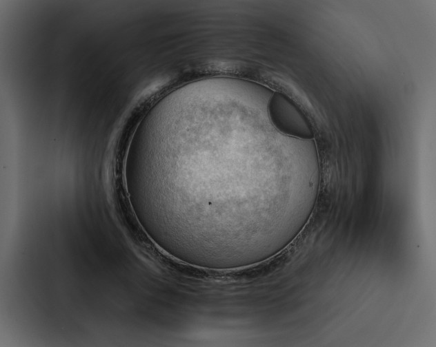 X0000088230736200705151452