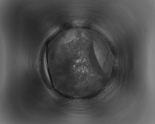 X0000088230738200705151452