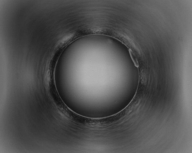 X0000088230740200705151452