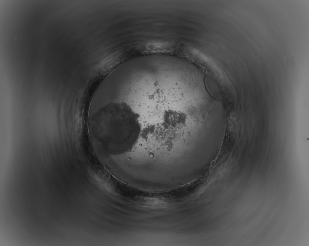 X0000088230741200705151452