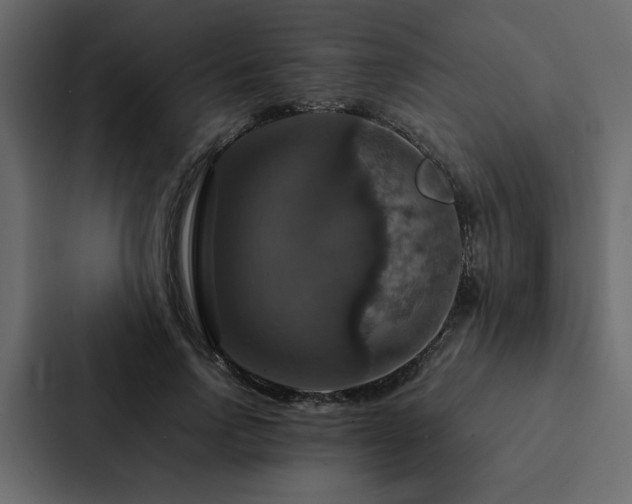 X0000088230742200705151452