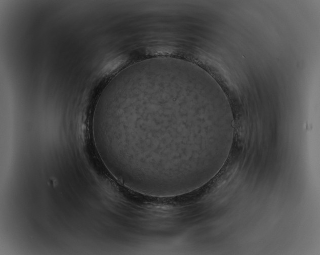 X0000088230743200705151452