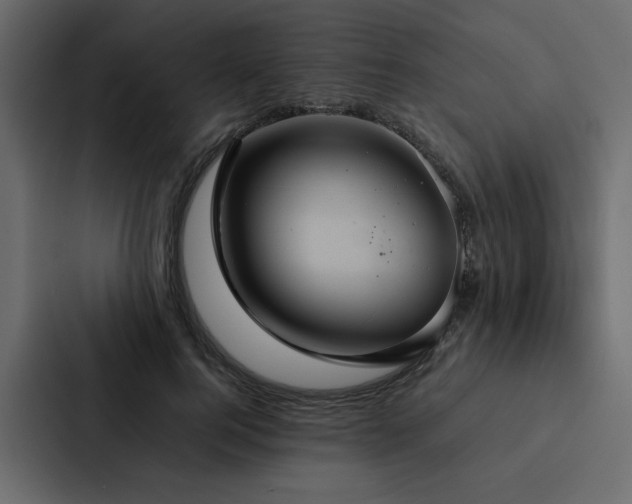 X0000088230744200705151452