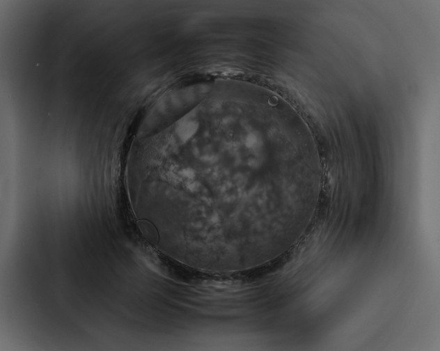 X0000088230745200705151452