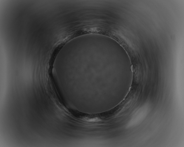 X0000088230747200705151452