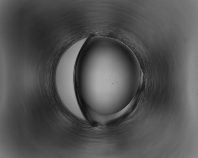 X0000088230748200705151452