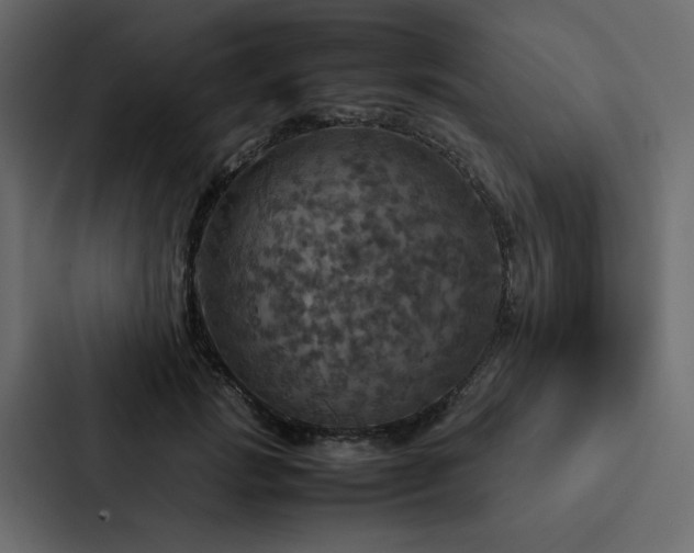 X0000088230749200705151452
