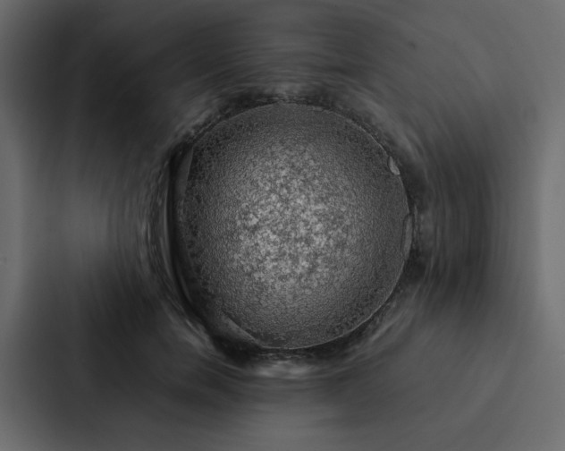 X0000088230750200705151452