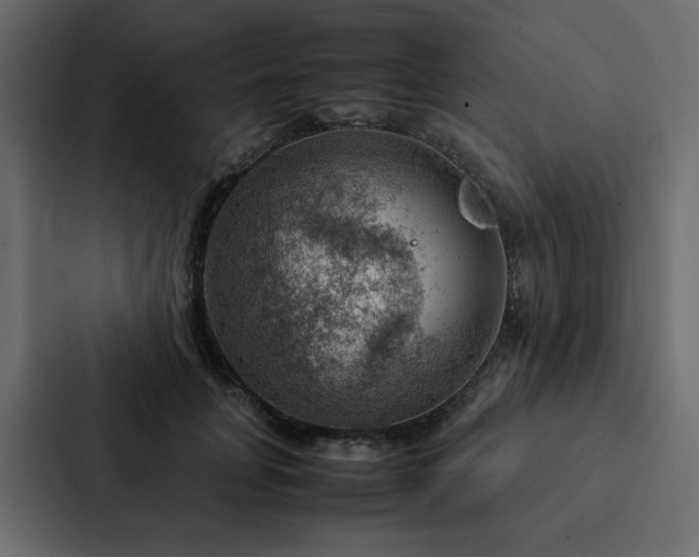 X0000088230751200705151452
