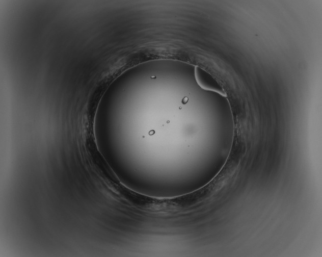 X0000088230752200705151452