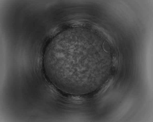 X0000088230753200705151452