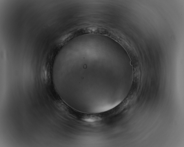 X0000088230754200705151452