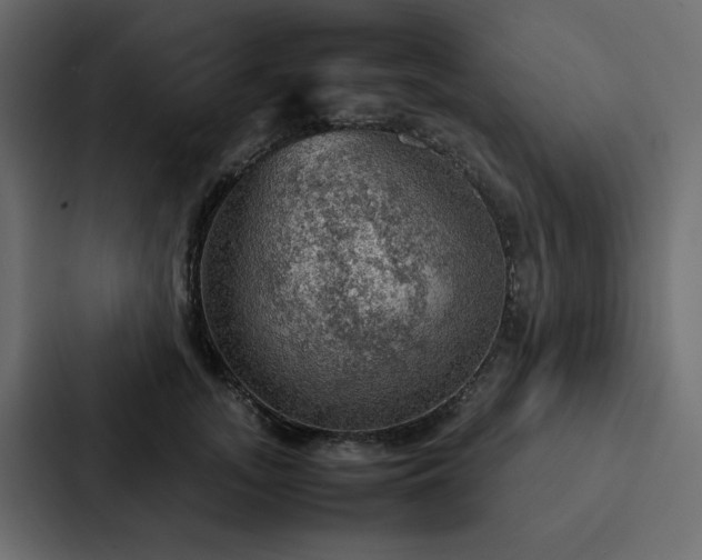 X0000088230755200705151452