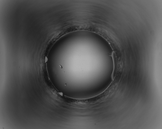 X0000088230756200705151452