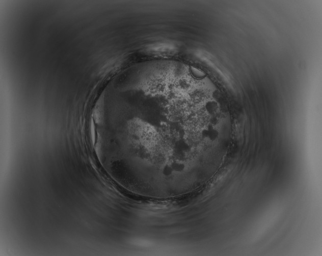 X0000088230757200705151452