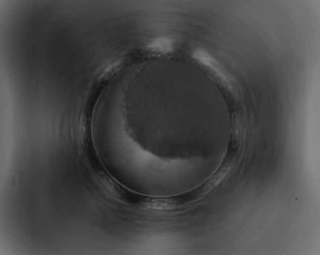 X0000088230758200705151452