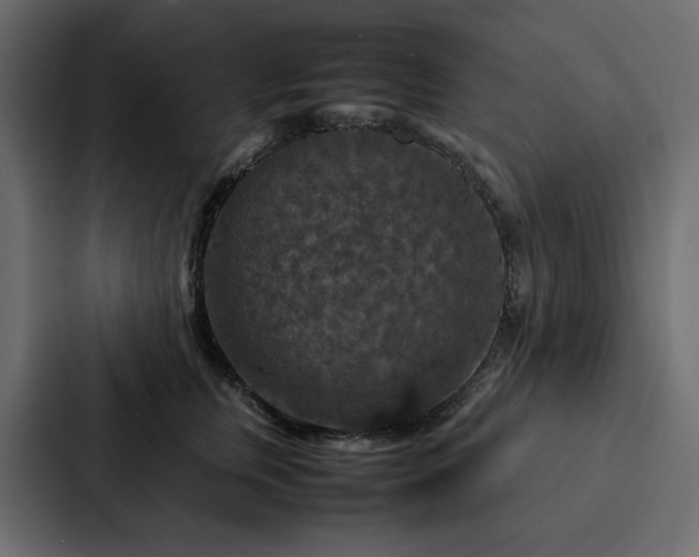 X0000088230759200705151452
