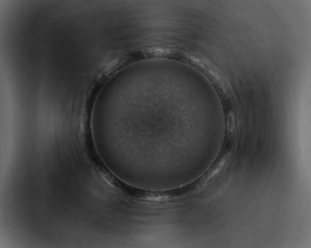 X0000088230760200705151452
