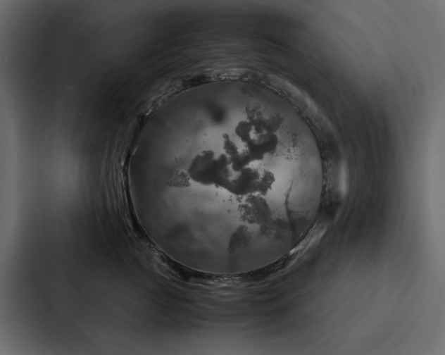 X0000088230761200705151452