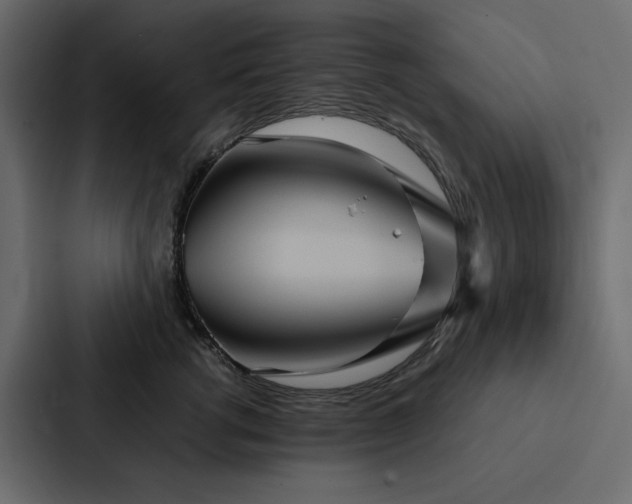 X0000088230762200705151452