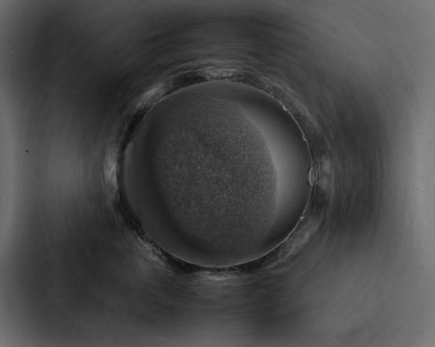 X0000088230763200705151452