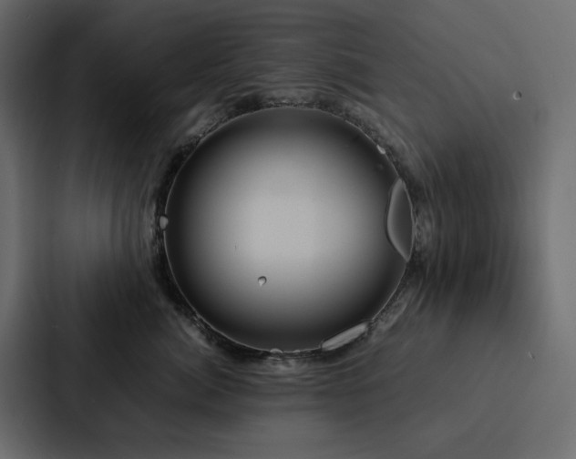 X0000088230764200705151453