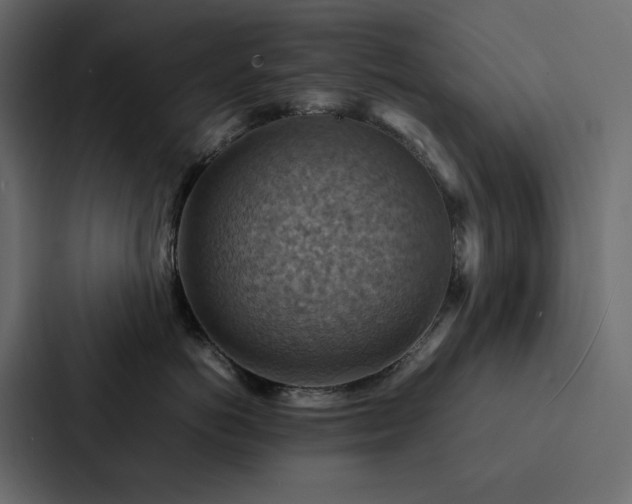 X0000088230766200705151453