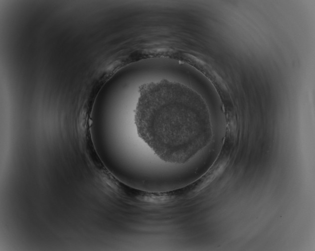 X0000088230767200705151453