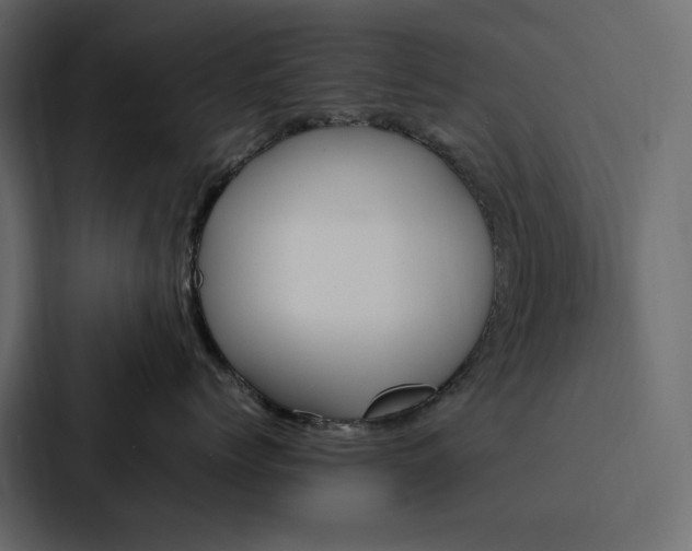 X0000088230768200705151453