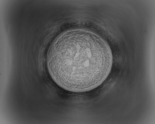 X0000088230769200705151452