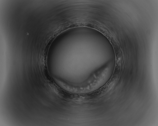 X0000088230772200705151452