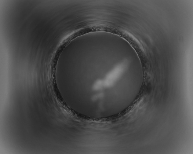 X0000088230775200705151452