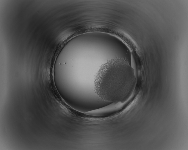 X0000088230777200705151452