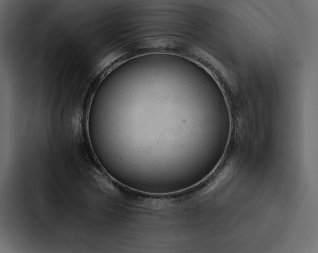 X0000088230778200705151452