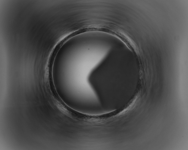 X0000088230779200705151452