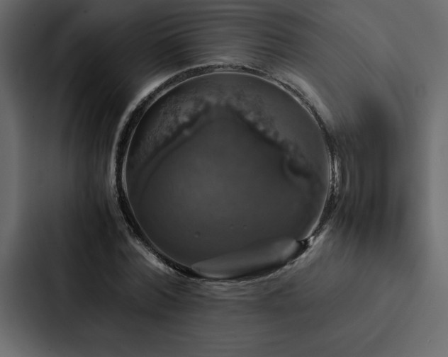 X0000088230780200705151452