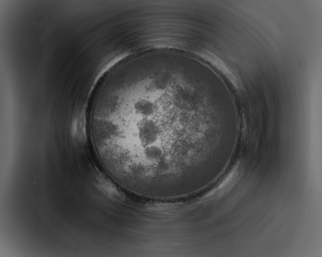 X0000088230782200705151452