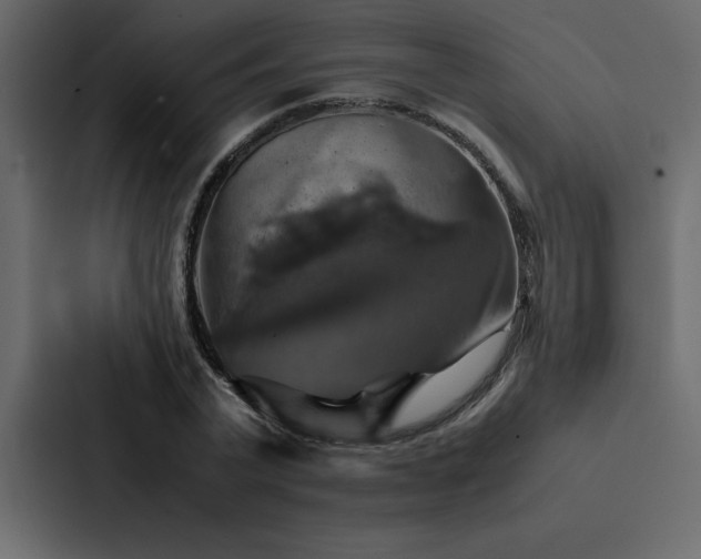 X0000088230783200705151452