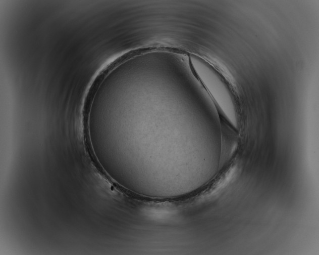X0000088230784200705151452