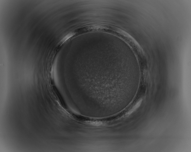 X0000088230785200705151452