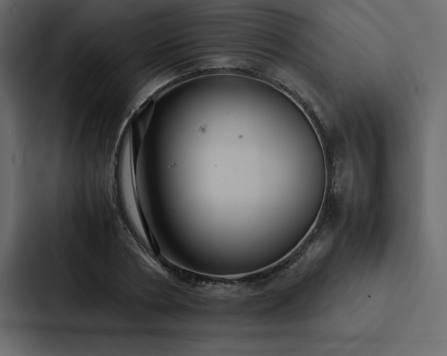X0000088230786200705151452