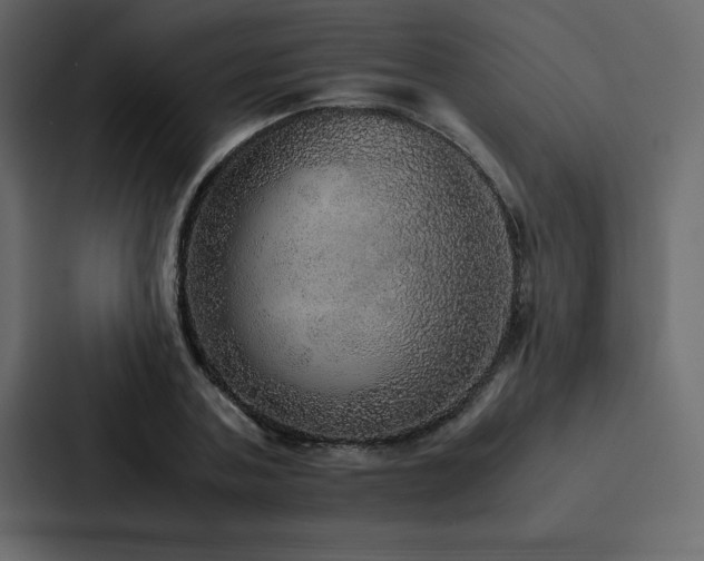 X0000088230787200705151452