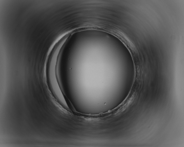 X0000088230788200705151452