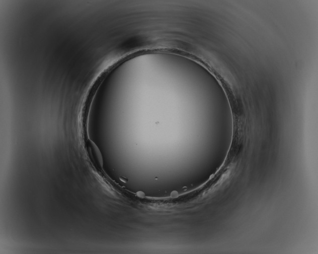 X0000088230789200705151452