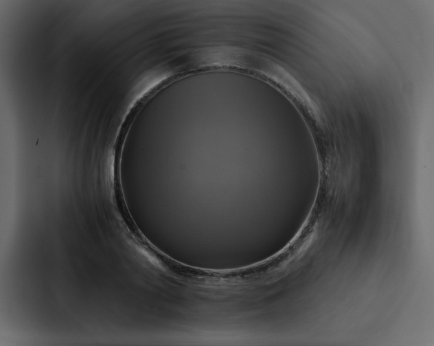 X0000088230790200705151452