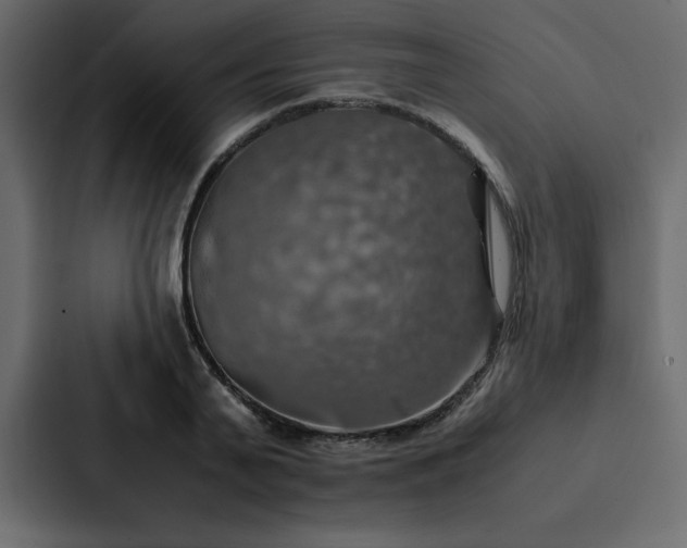 X0000088230791200705151452